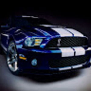 Meet your Posher, Shauna